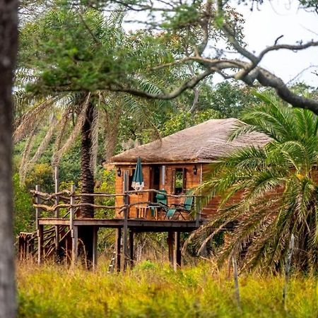 Mansa Musso Lodge Sanyang Esterno foto