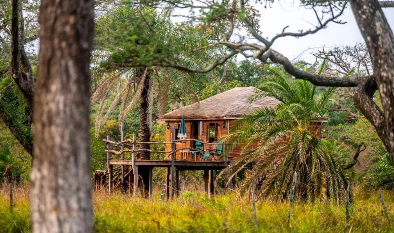 Mansa Musso Lodge Sanyang Esterno foto